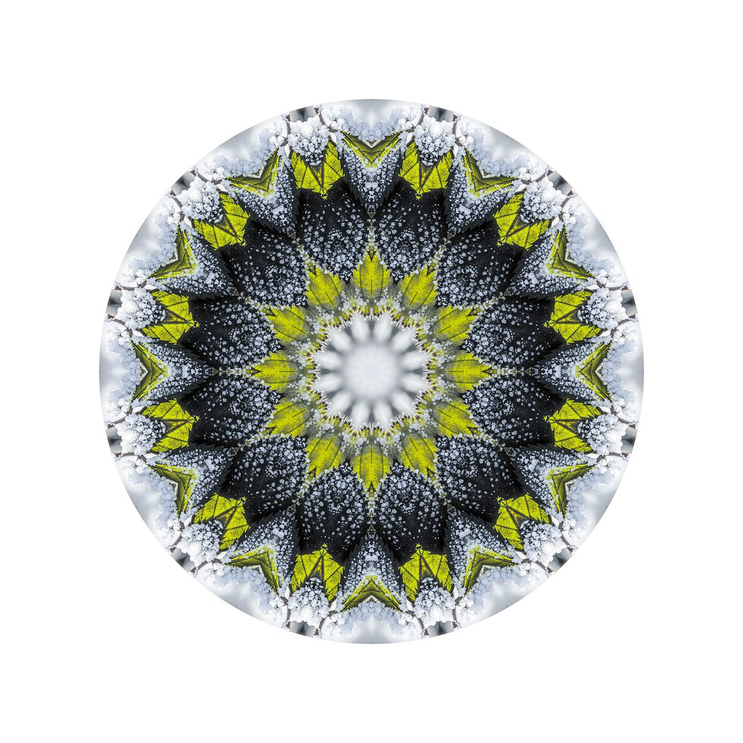 Novembrový mráz č.5