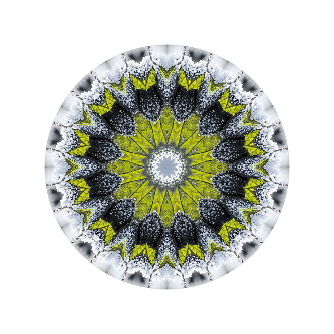 Novembrový mráz č.6