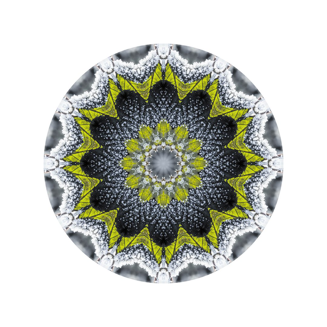 Novembrový mráz č.8