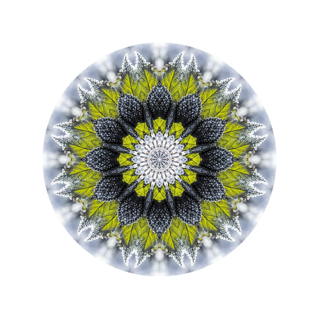 Novembrový mráz č.9