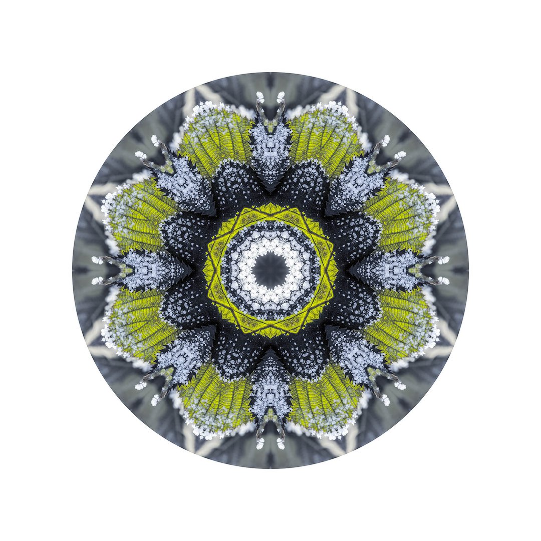 Novembrový mráz č.1