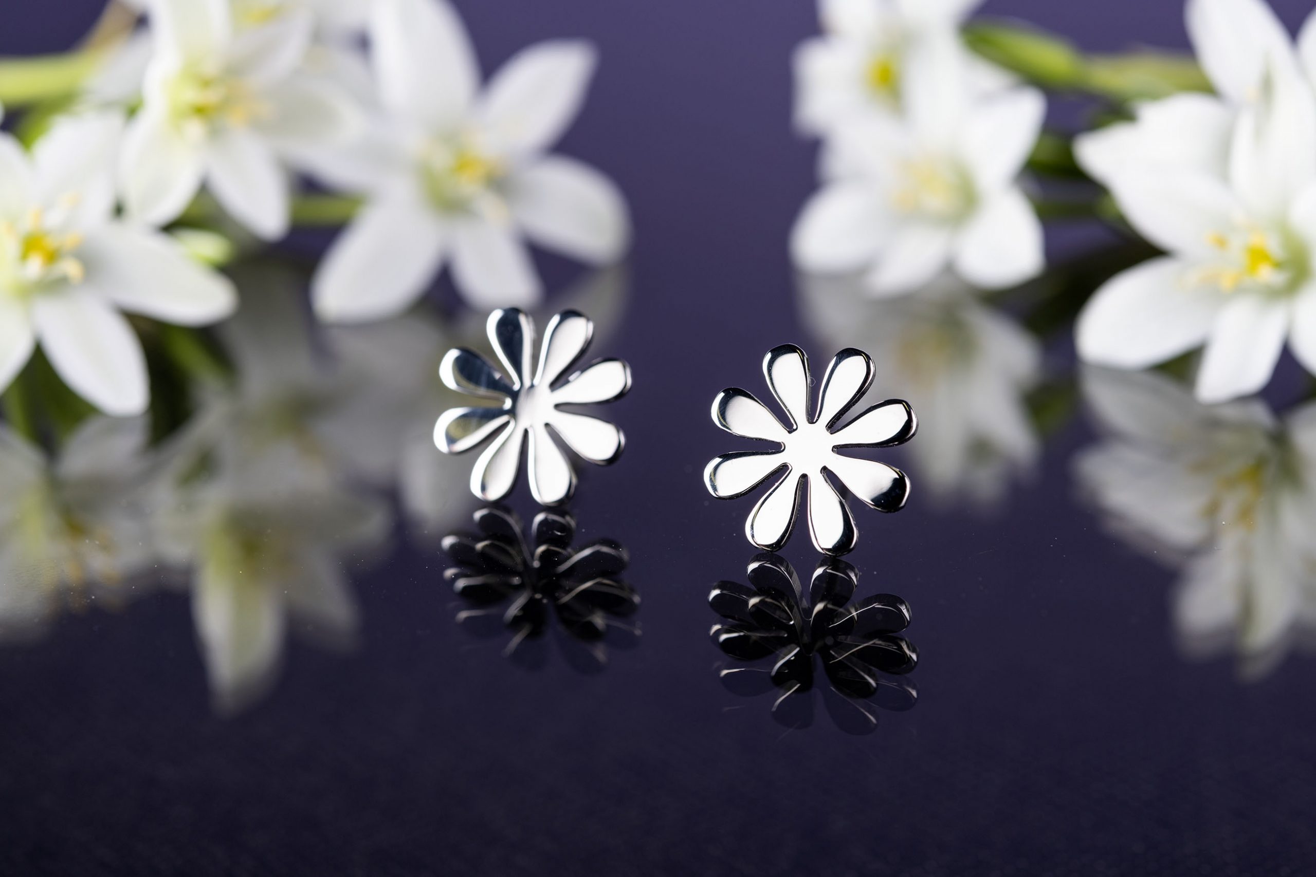 Napichovacie náušnice Trakovice 1