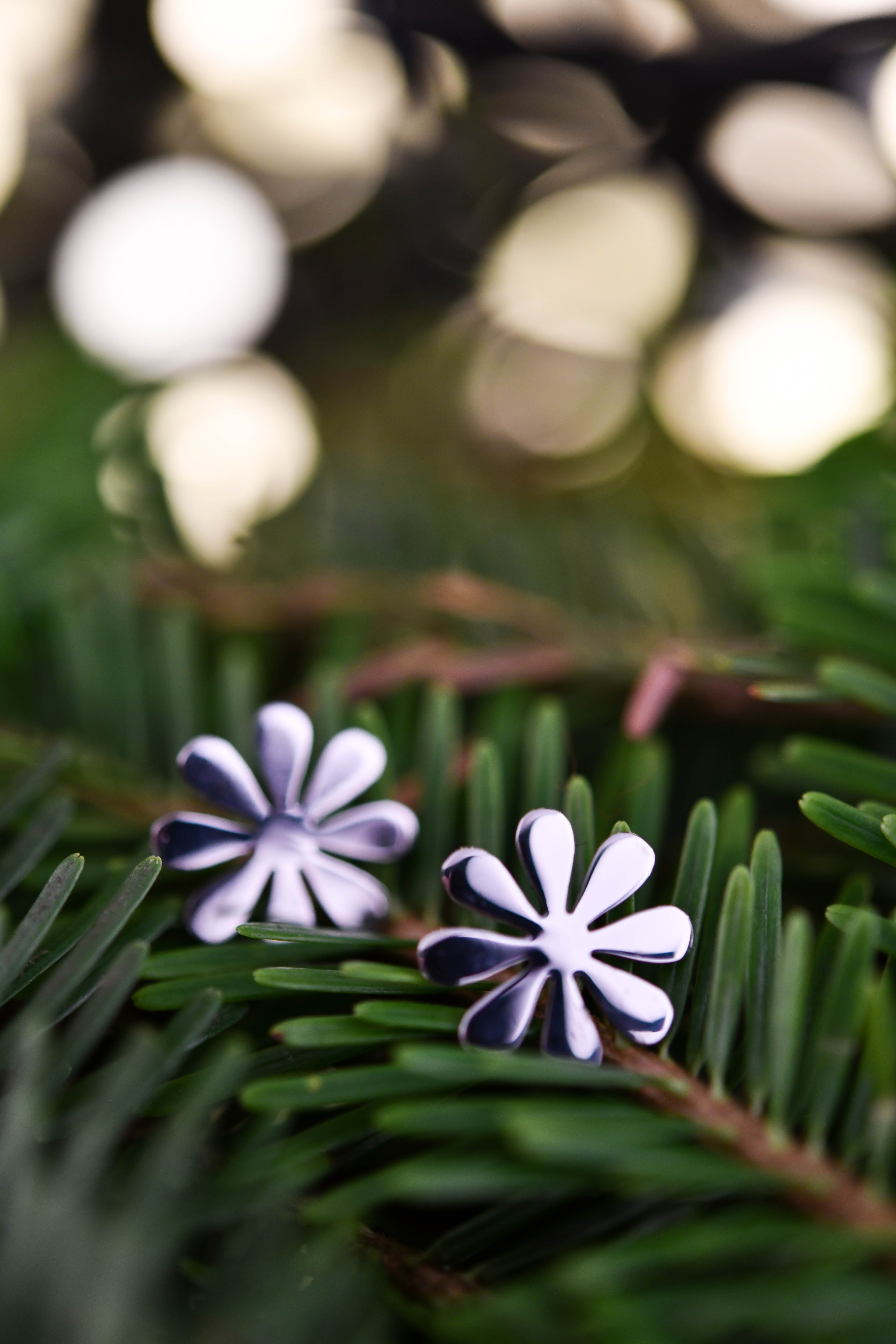 Napichovacie náušnice Trakovice 1