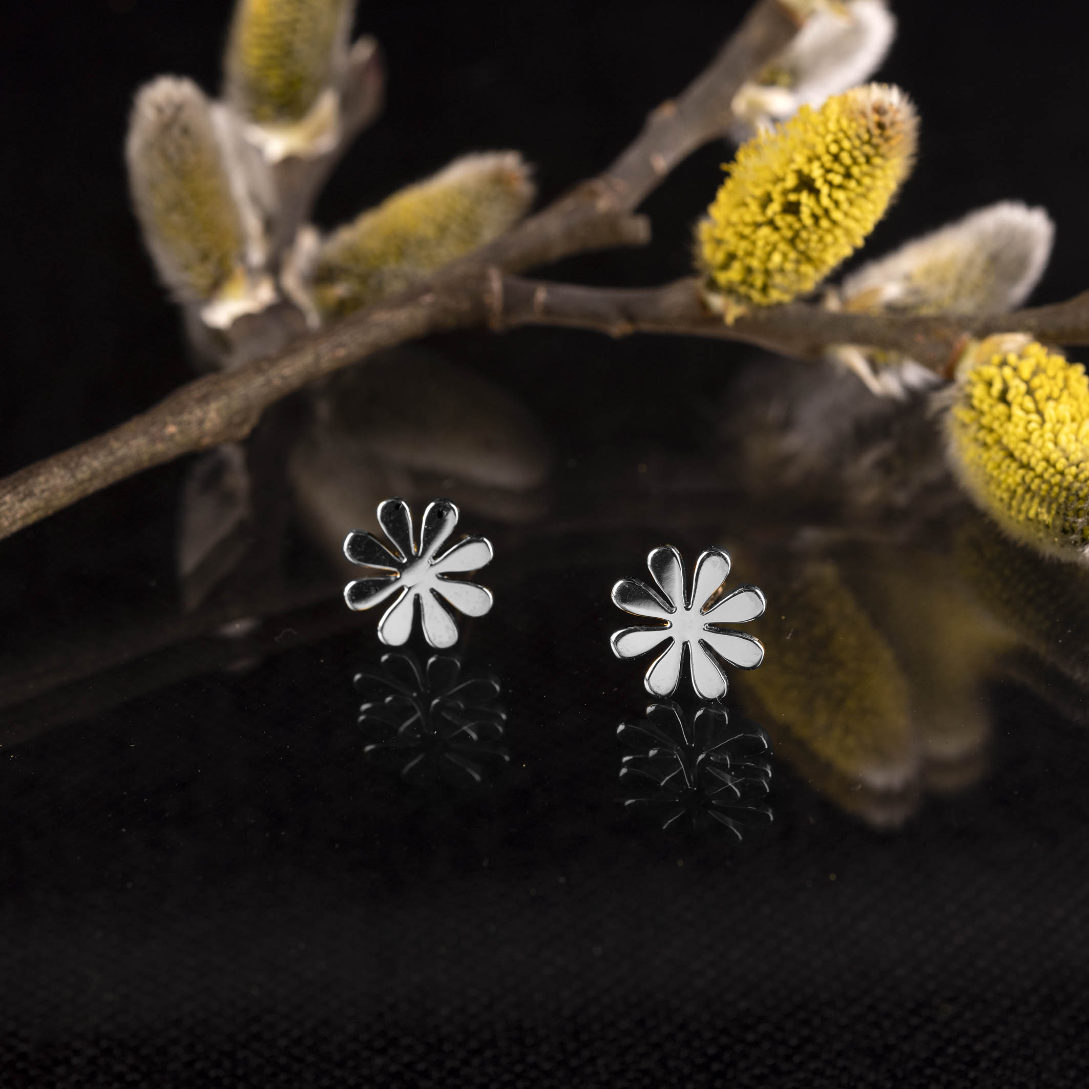 Napichovacie náušnice Trakovice 1