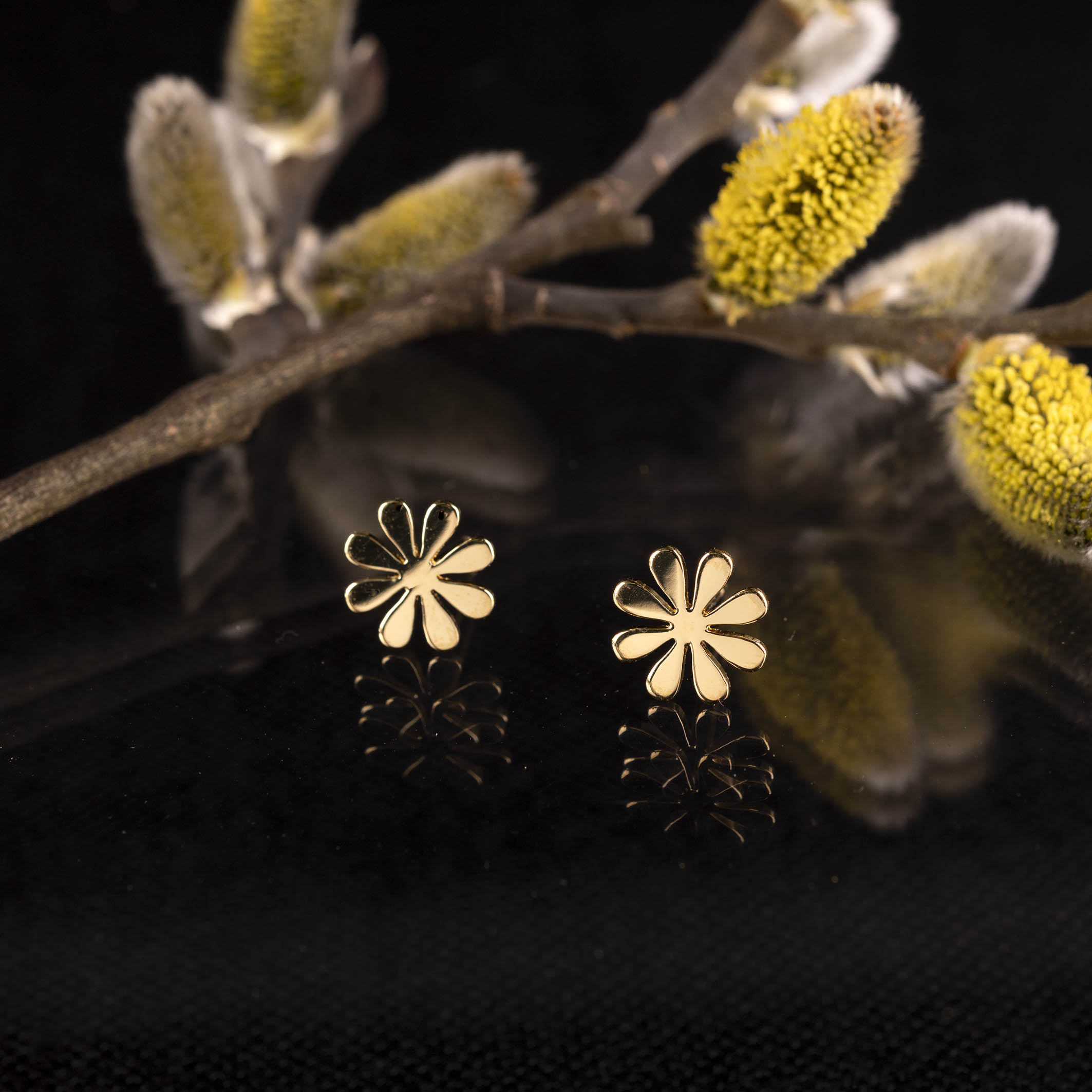 Napichovacie náušnice Trakovice 1