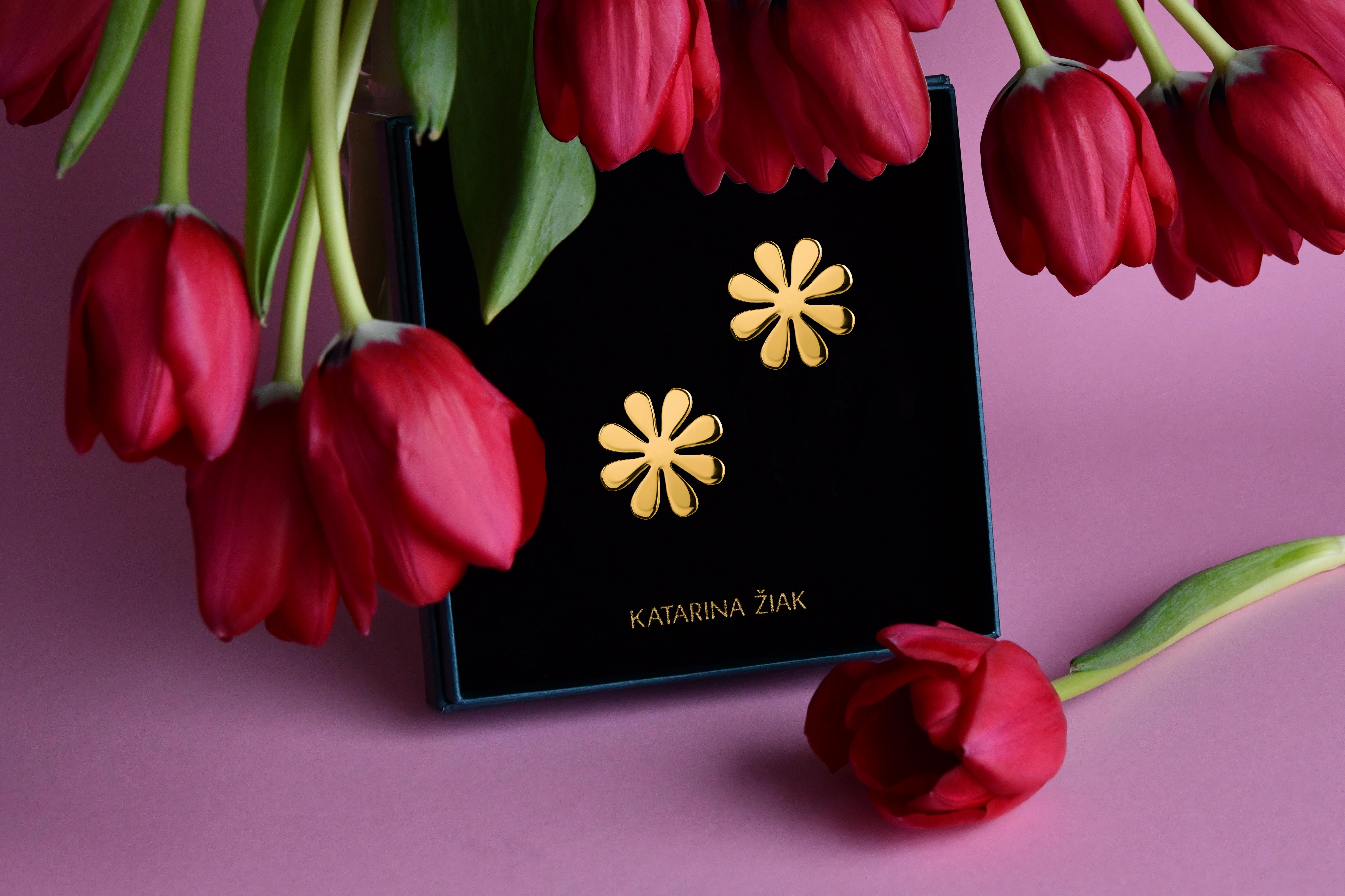 Napichovacie náušnice Trakovice 1