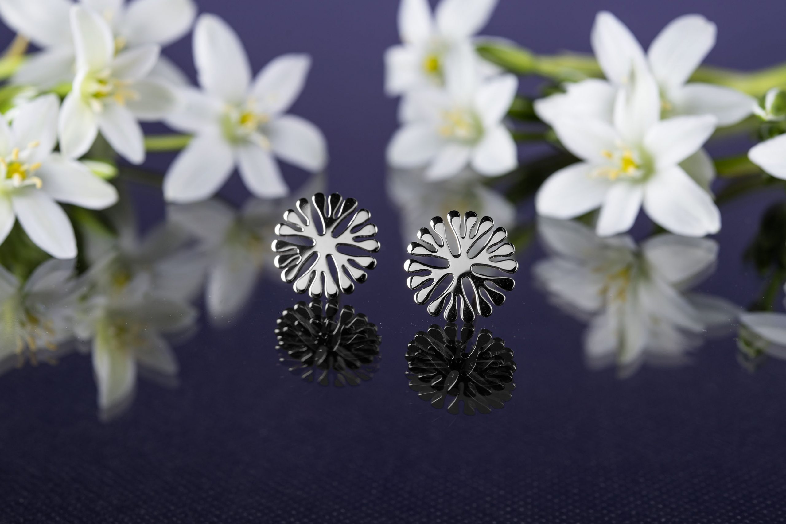 Napichovacie náušnice Trakovice 2