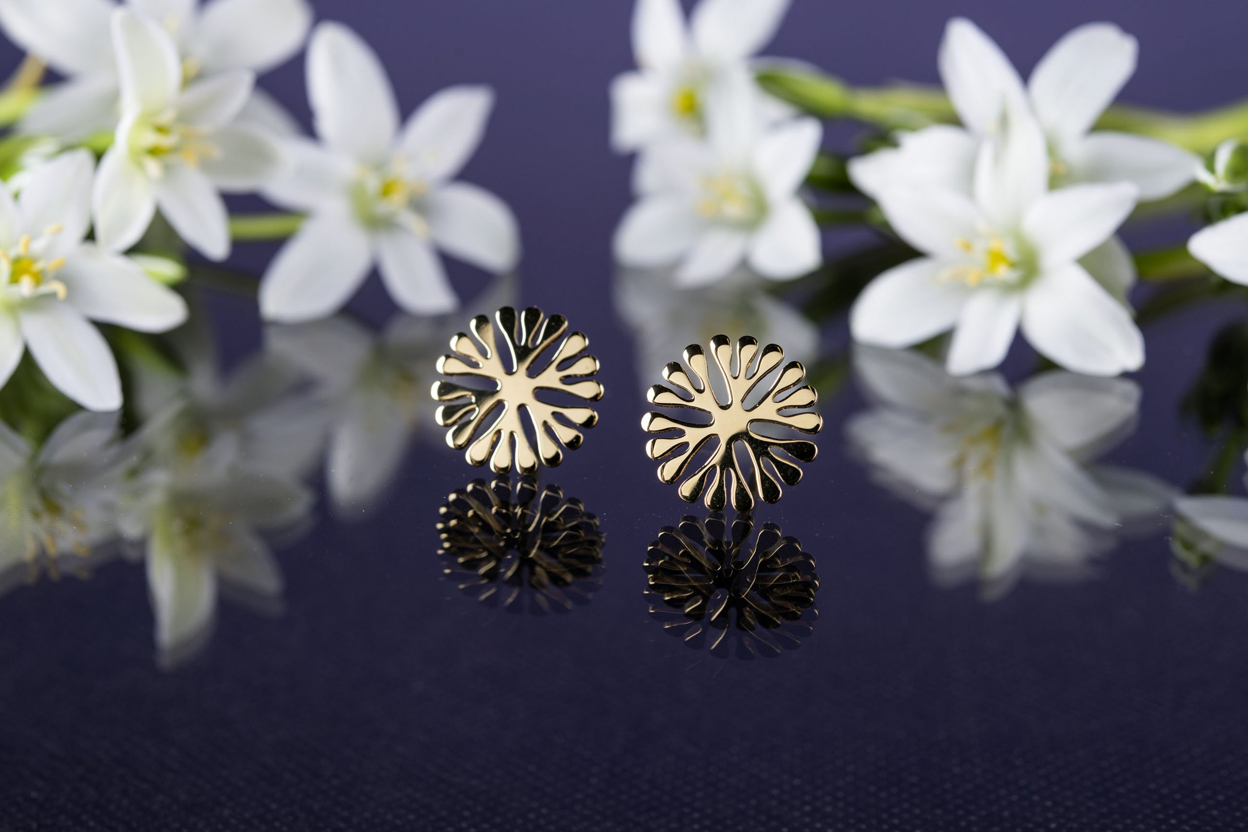 Napichovacie náušnice Trakovice 2