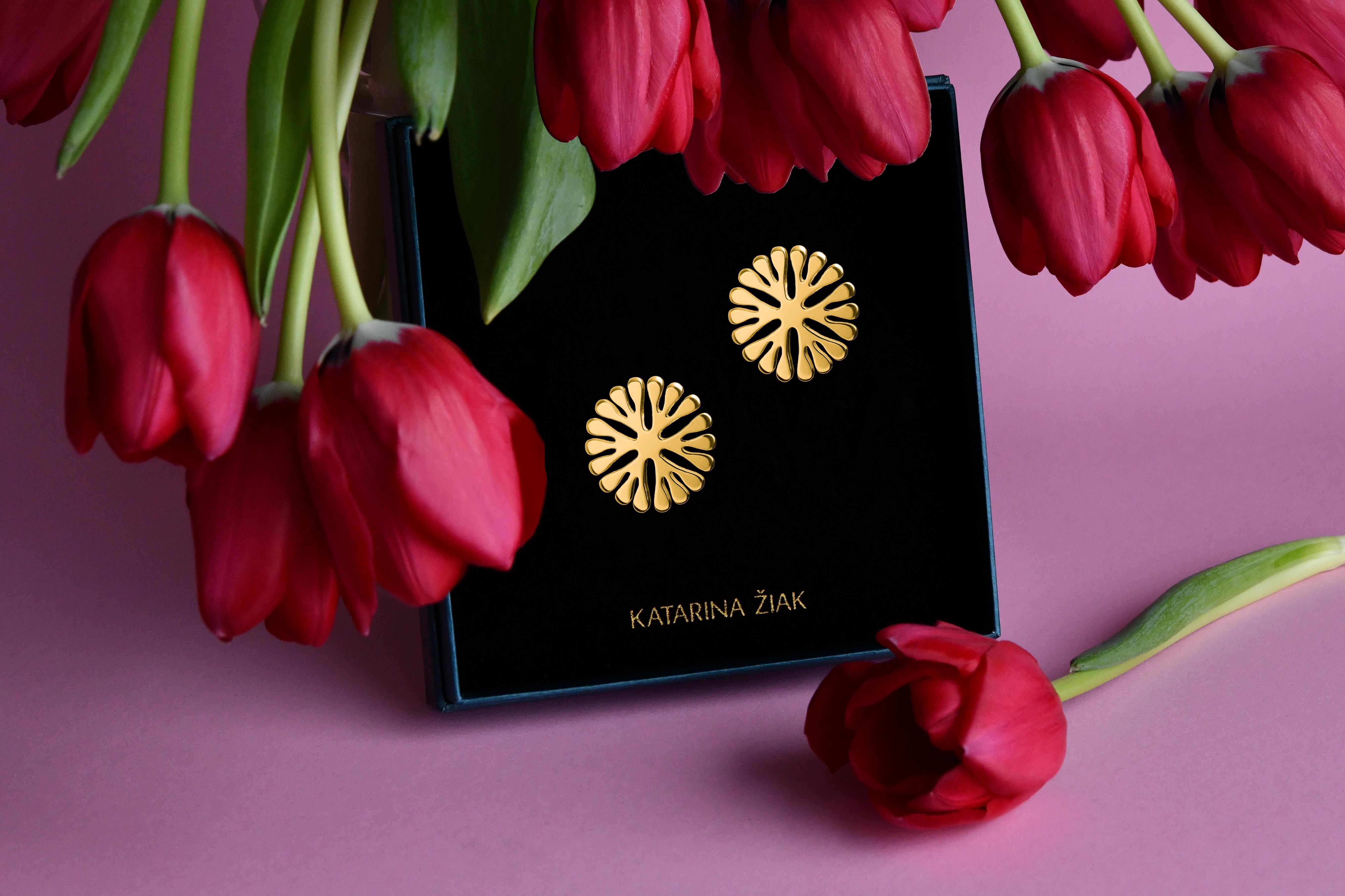 Napichovacie náušnice Trakovice 2