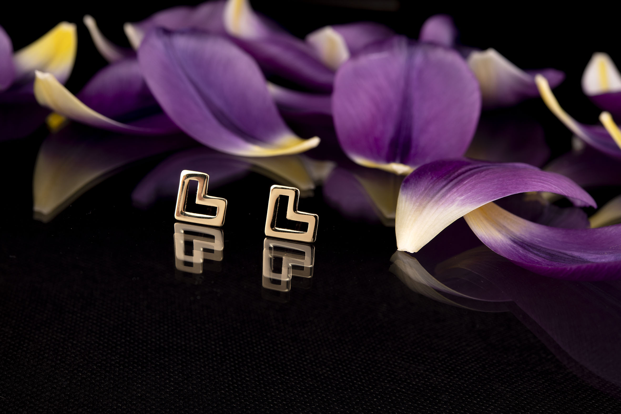 Napichovacie náušnice - Novohrad srdiečko