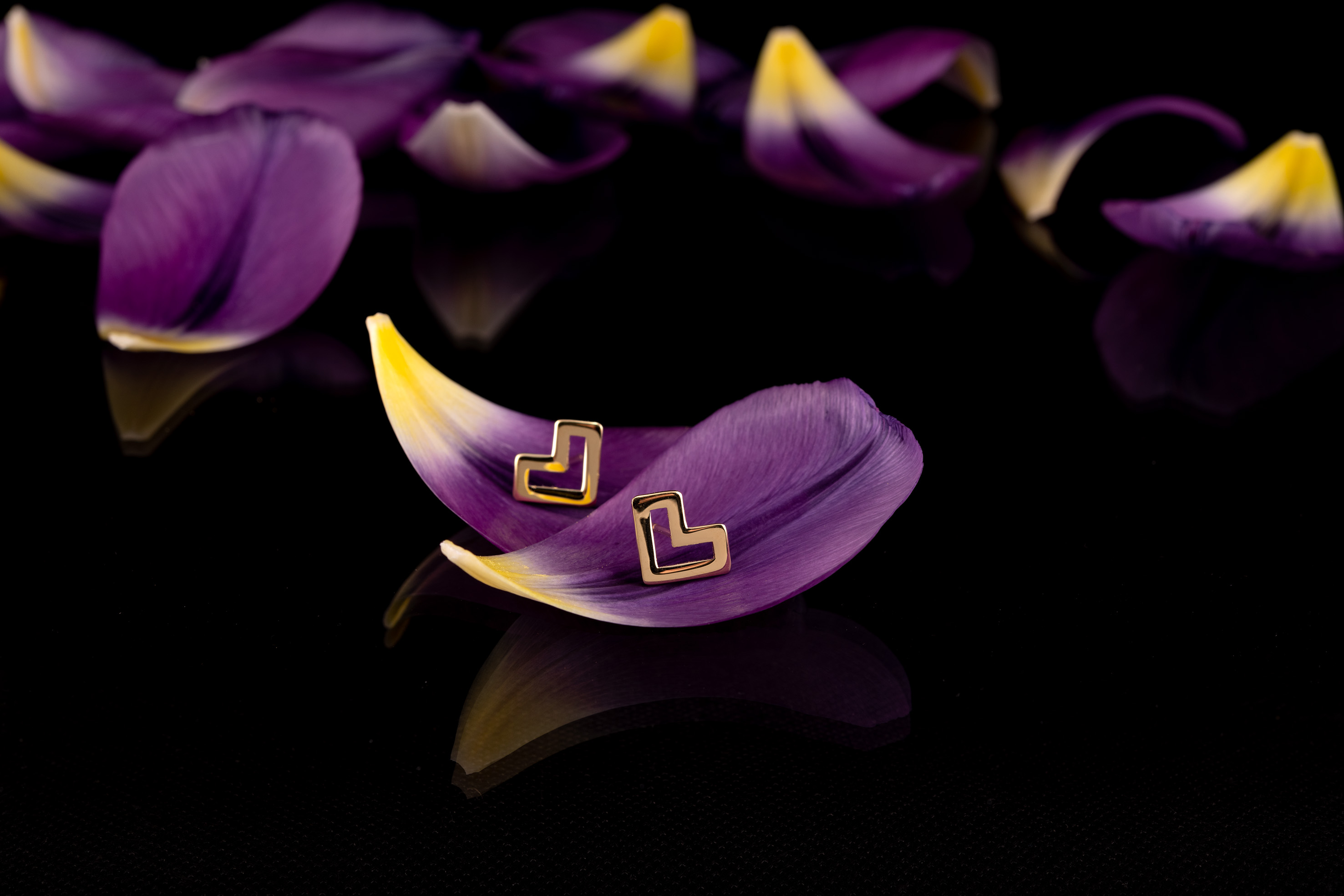 Napichovacie náušnice - Novohrad srdiečko