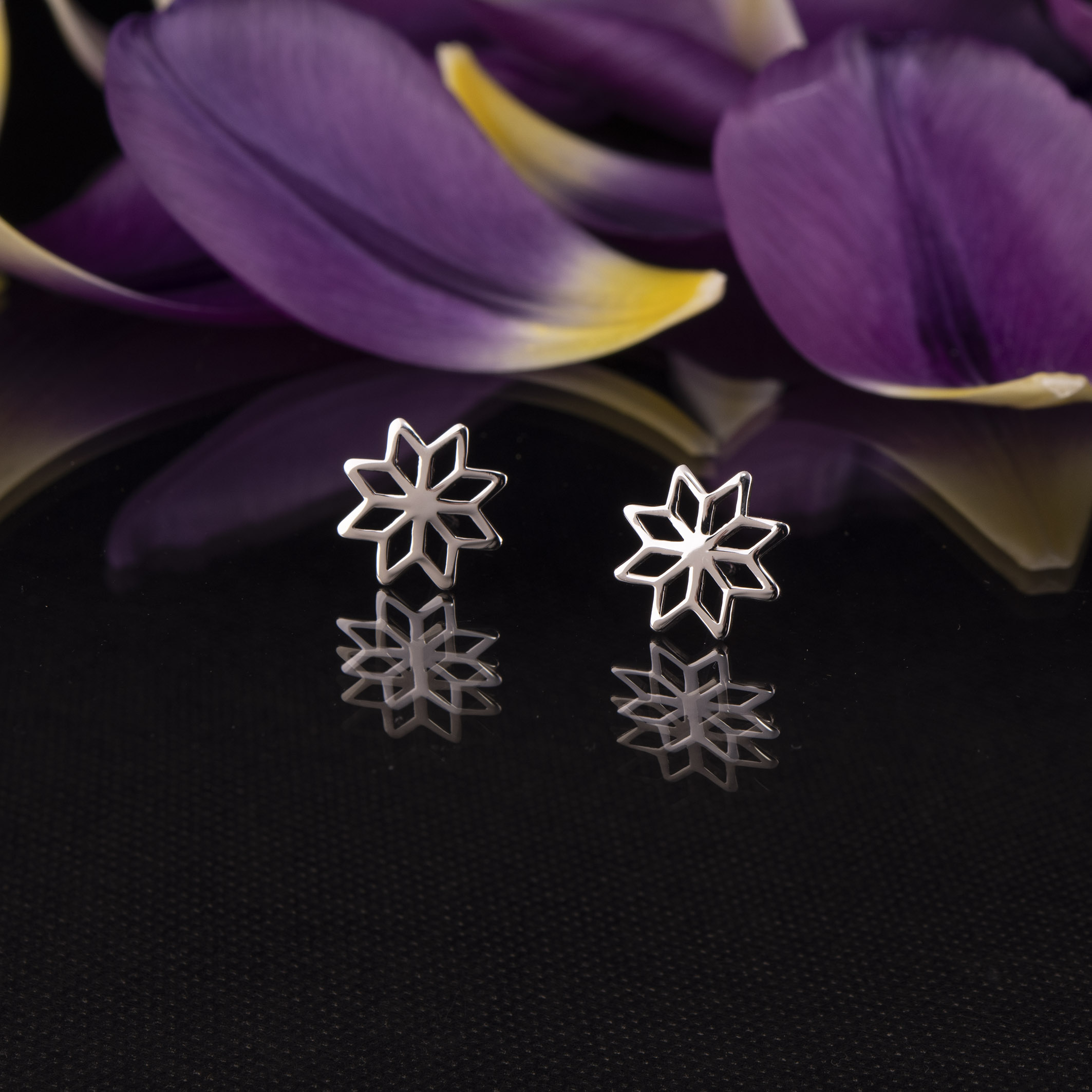 Napichovacie náušnice - Novohrad hviezda 1