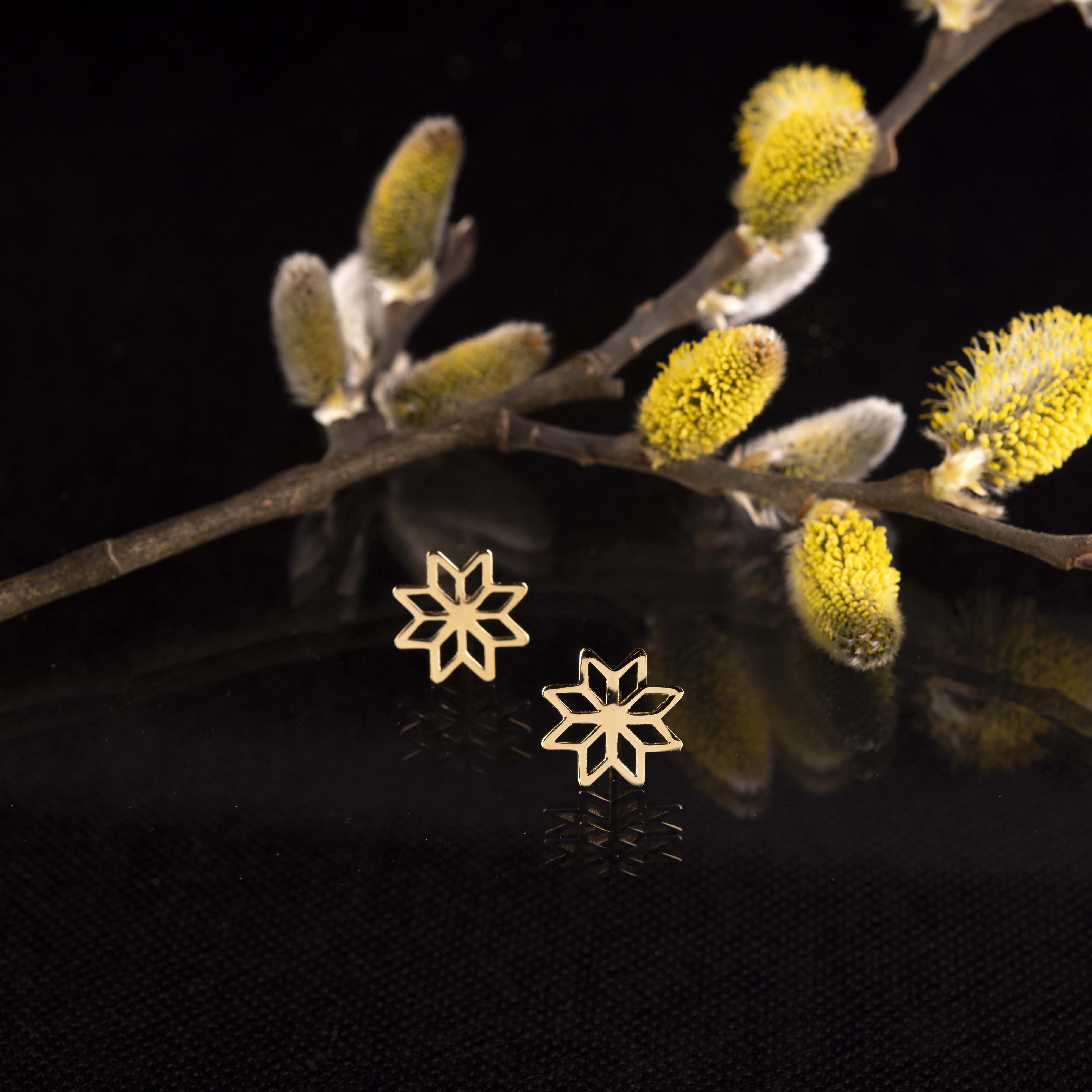 Napichovacie náušnice - Novohrad hviezda 1