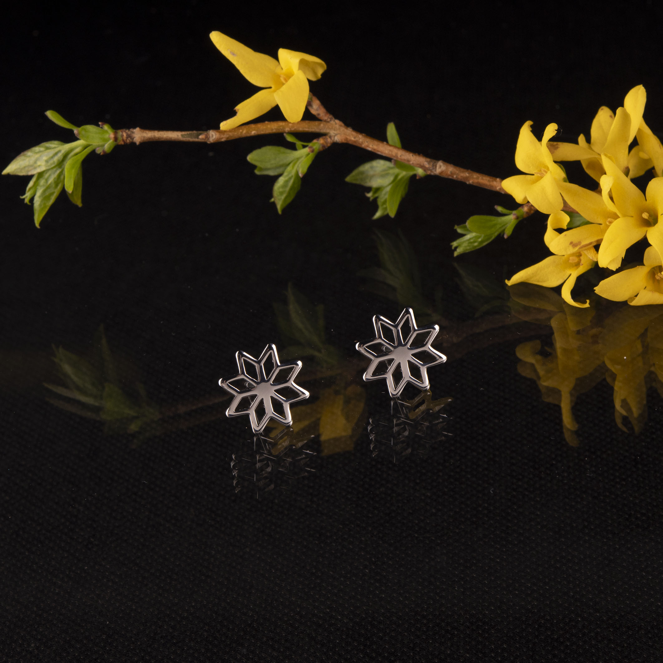 Napichovacie náušnice - Novohrad hviezda 1