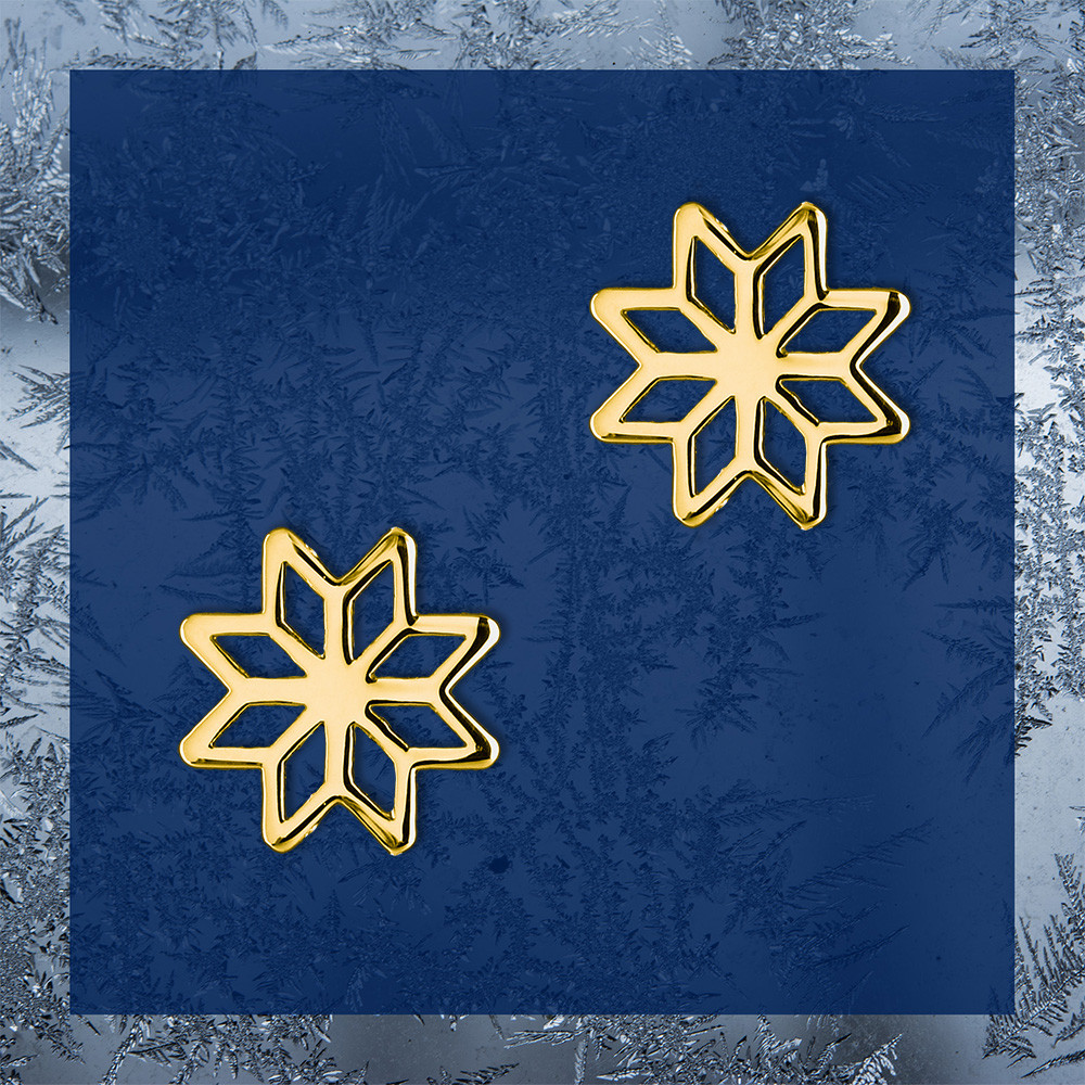 Napichovacie náušnice - Novohrad hviezda 1