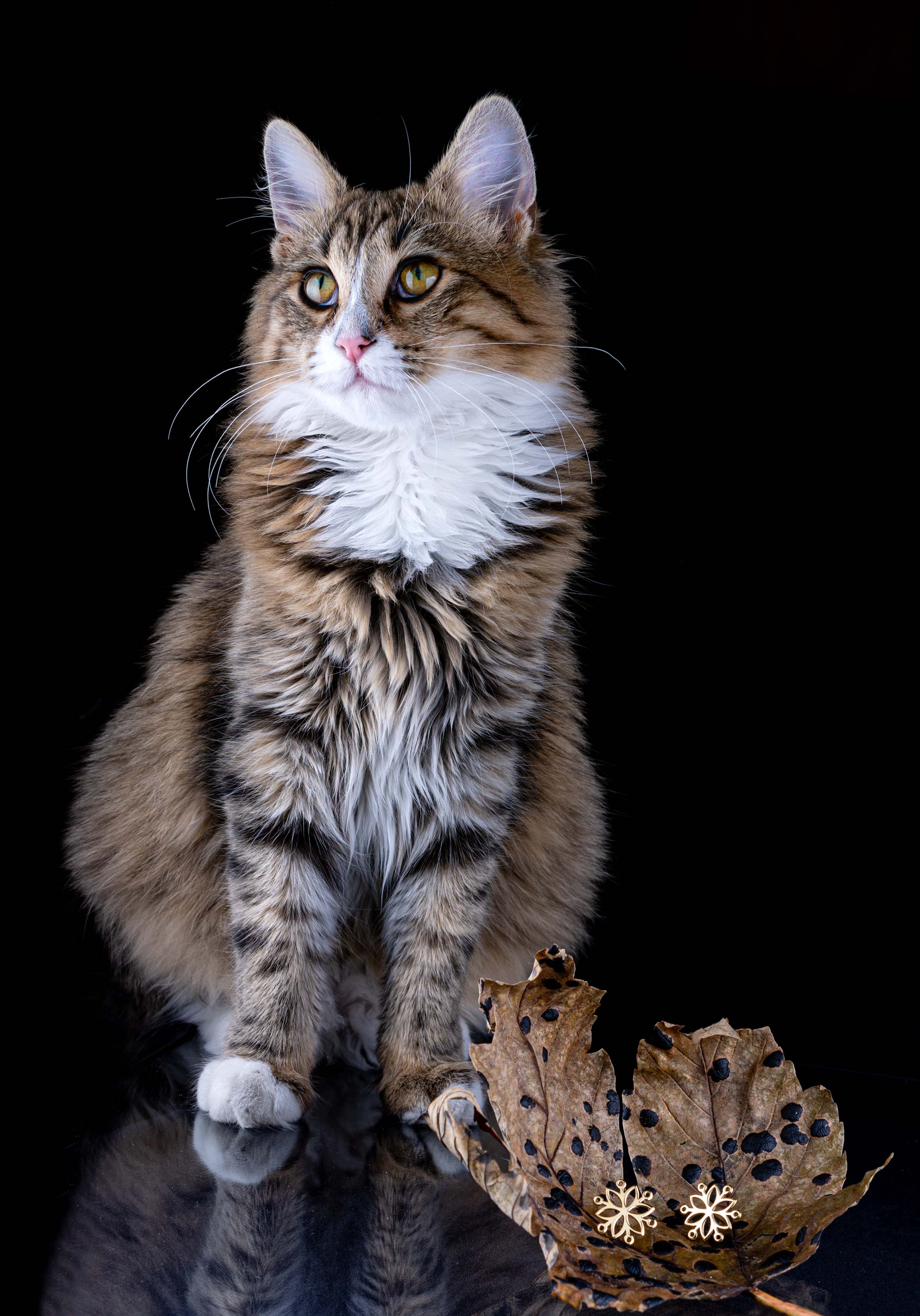 Napichovacie náušnice Kvet života 2