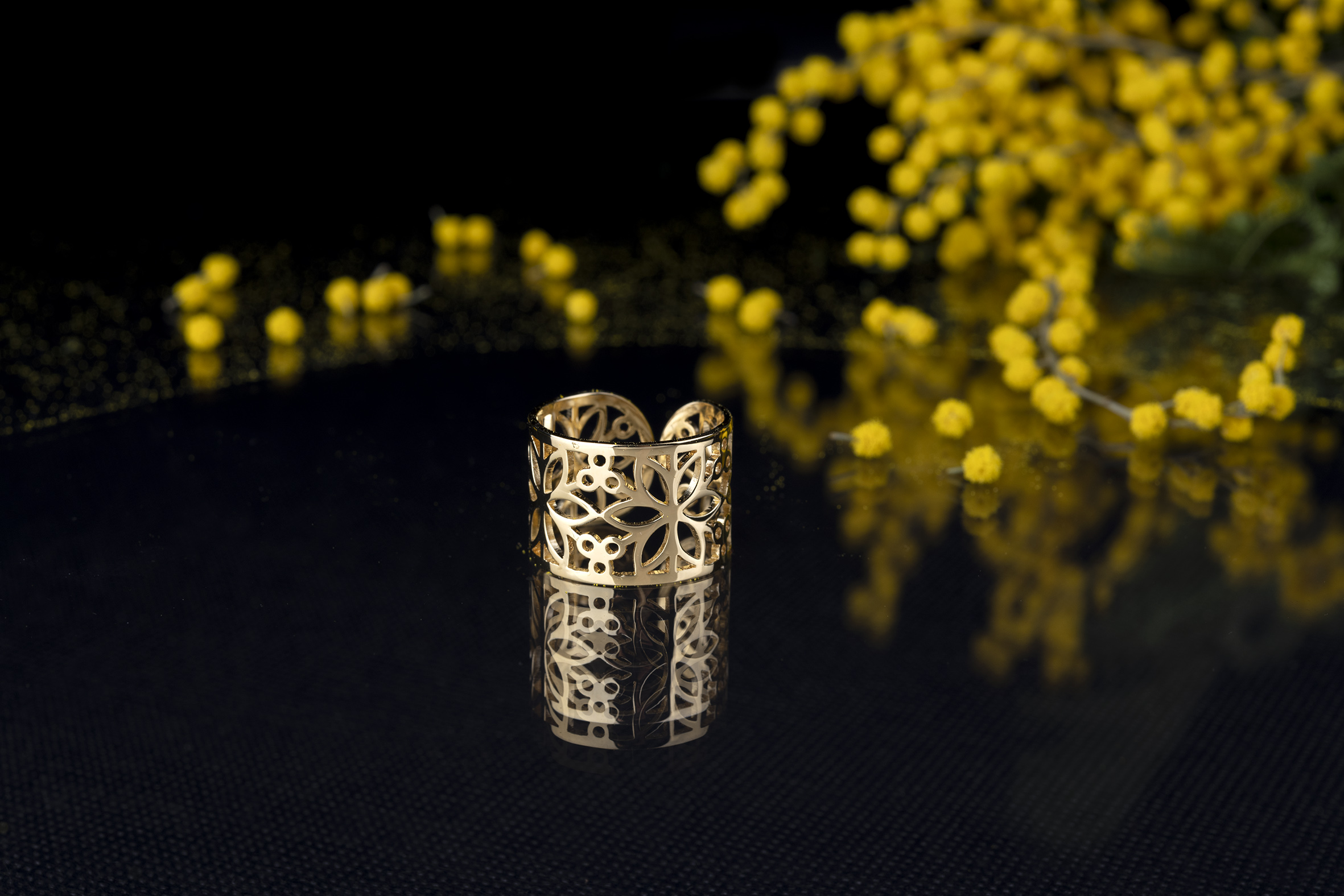 Prsteň kvet života - pás 1