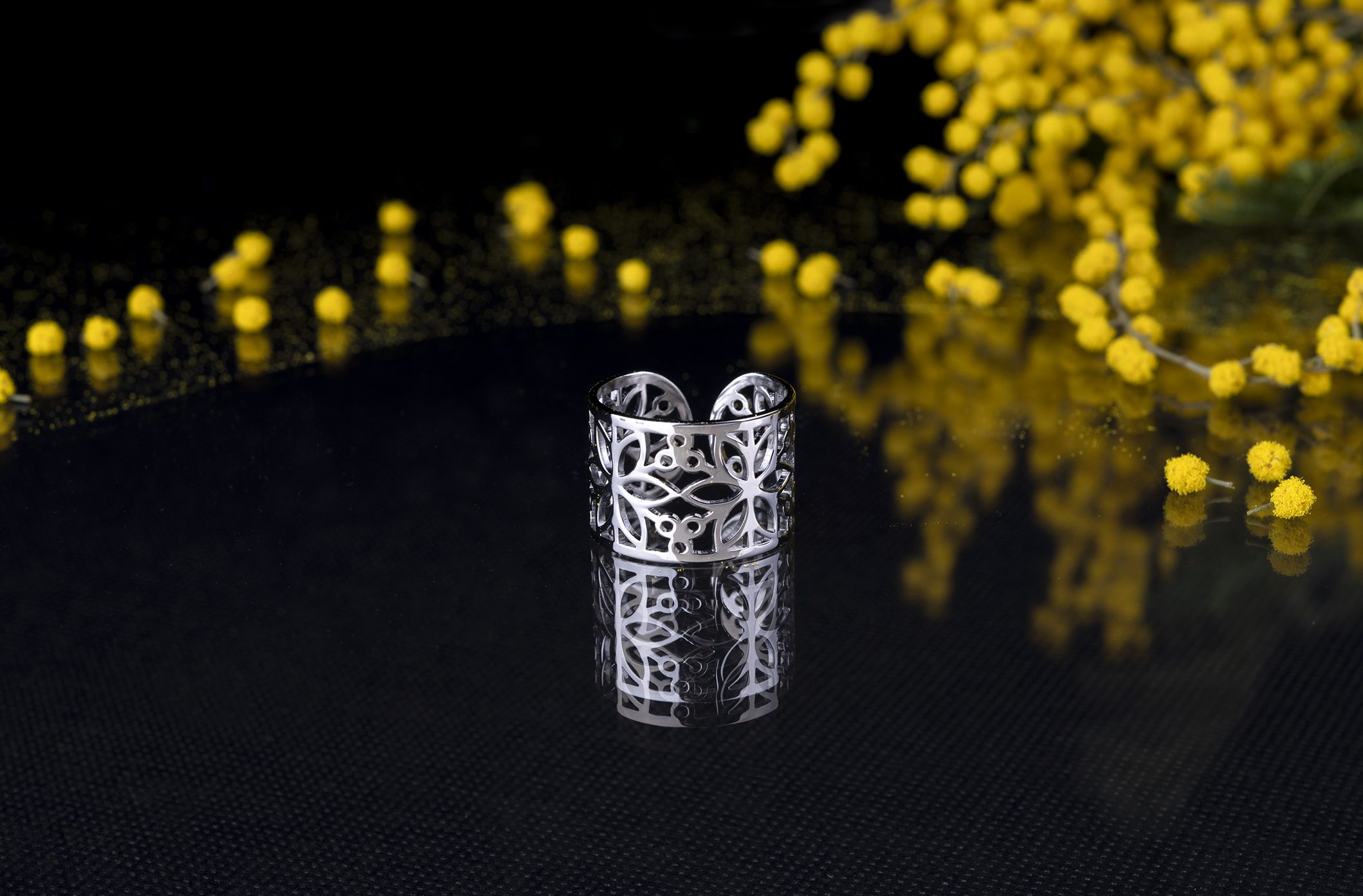 Prsteň kvet života - pás 1