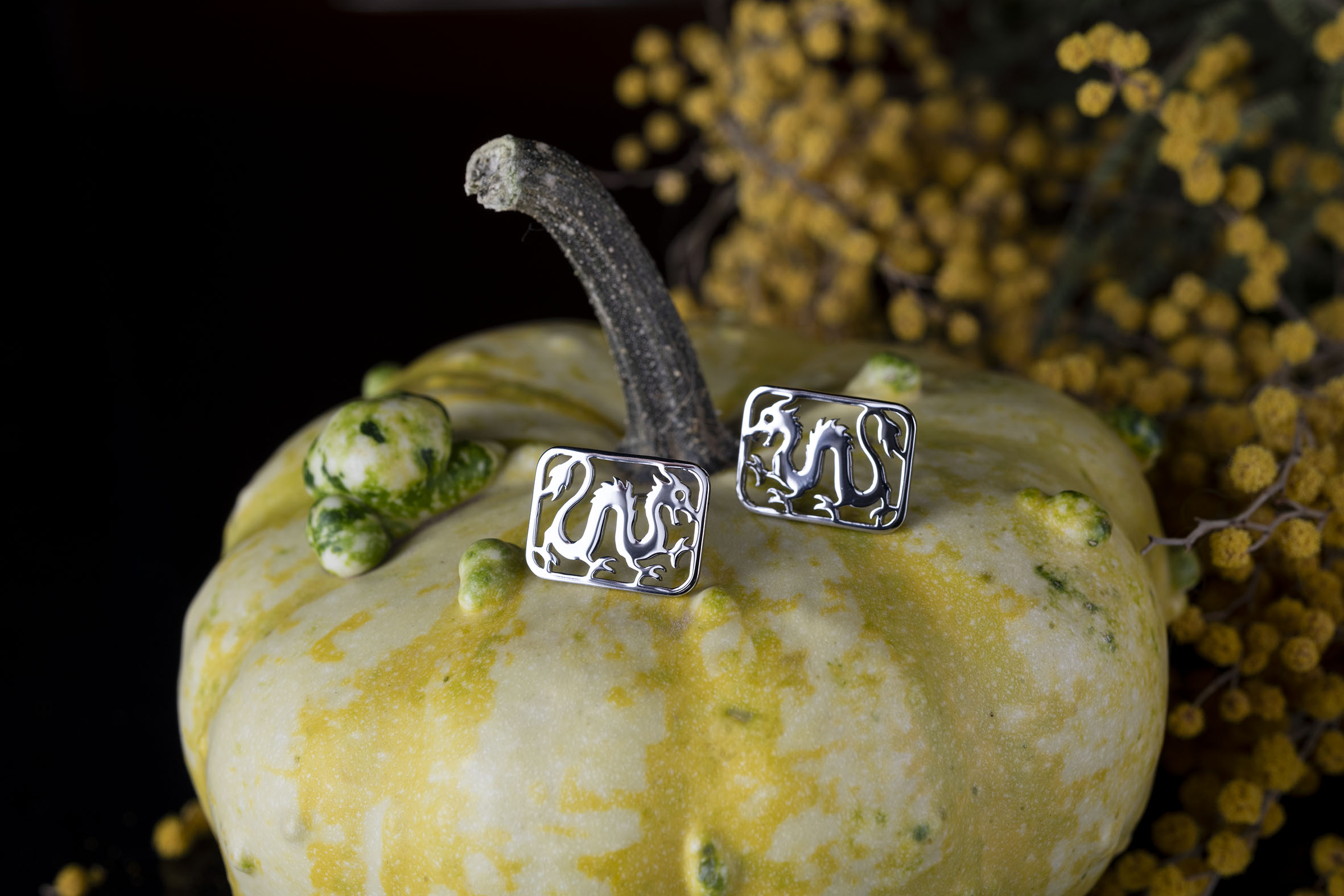 Napichovacie náušnice drak