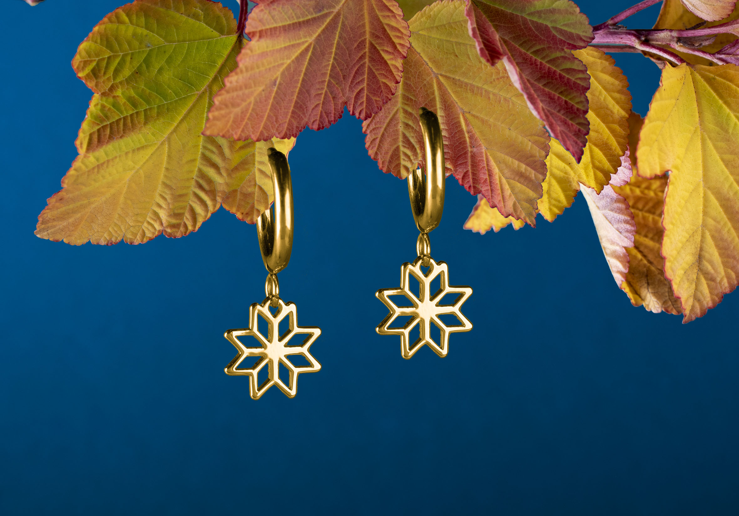 Náušnice Novohrad hviezda 1