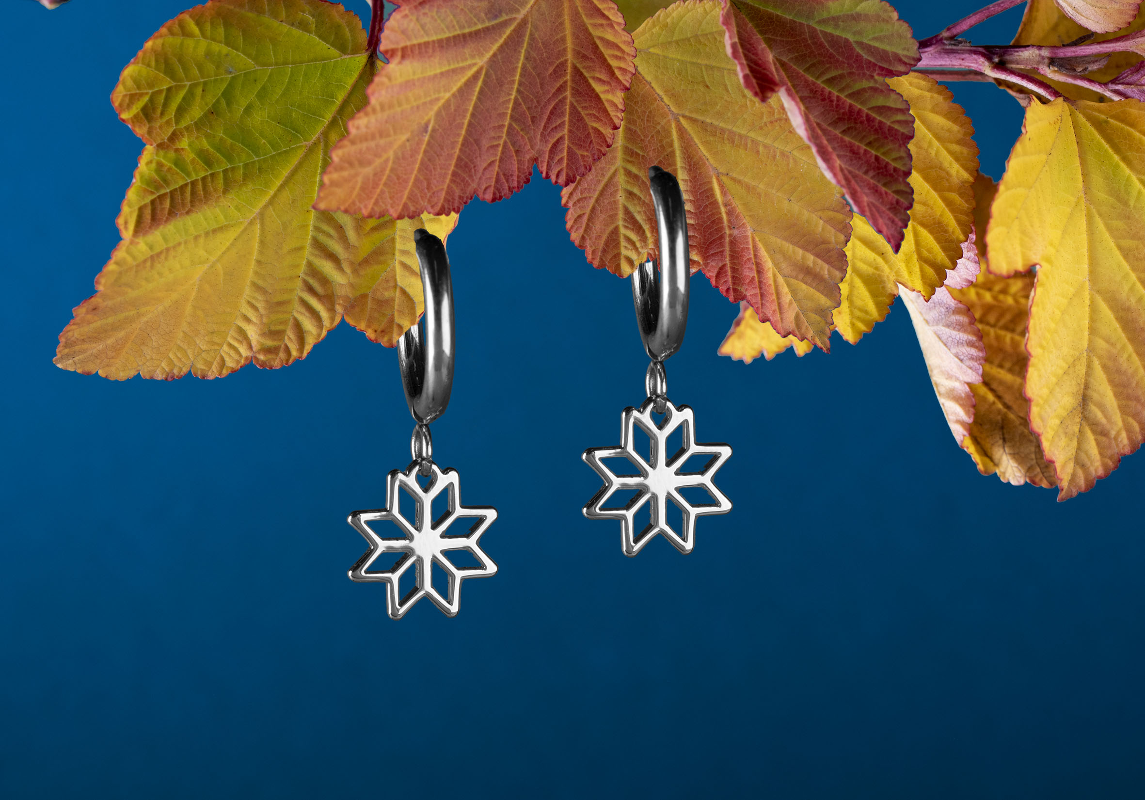 Náušnice Novohrad hviezda 1