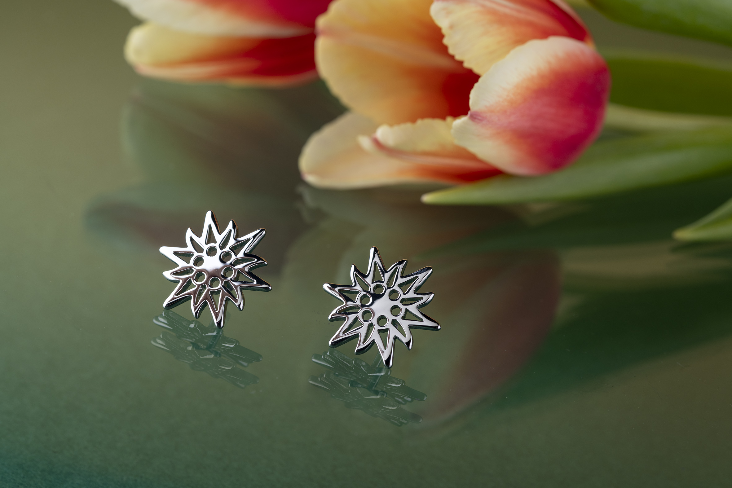 Napichovacie náušnice plesnivec