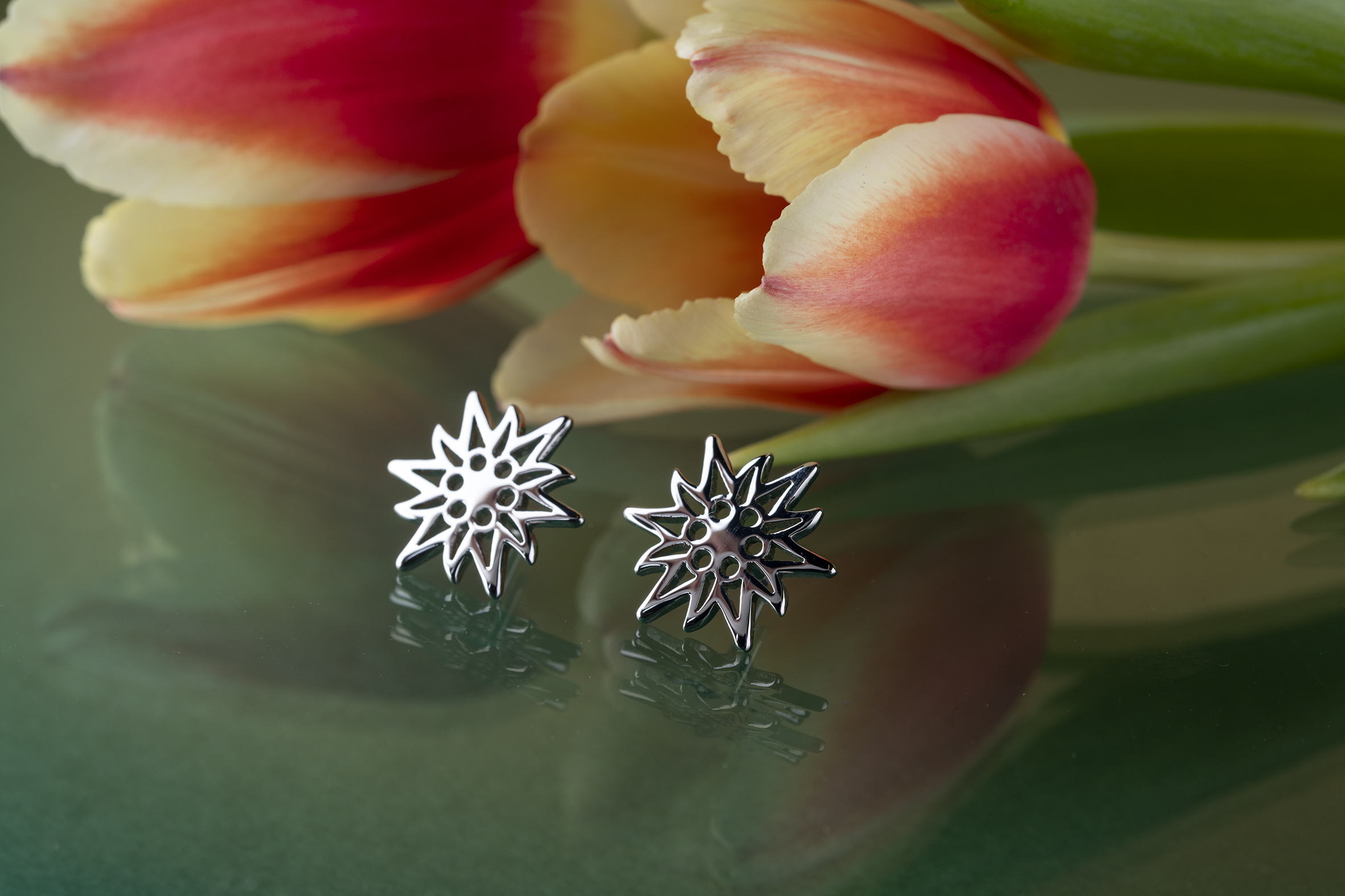 Napichovacie náušnice plesnivec