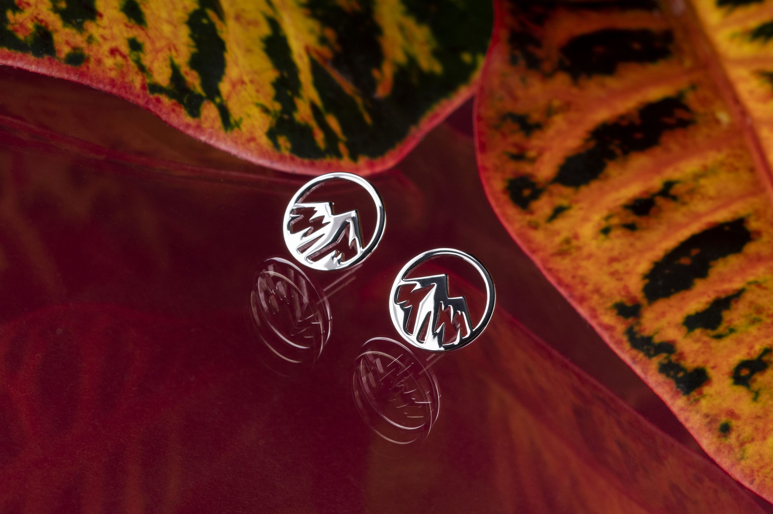 Napichovacie náušnice hory kruh 1