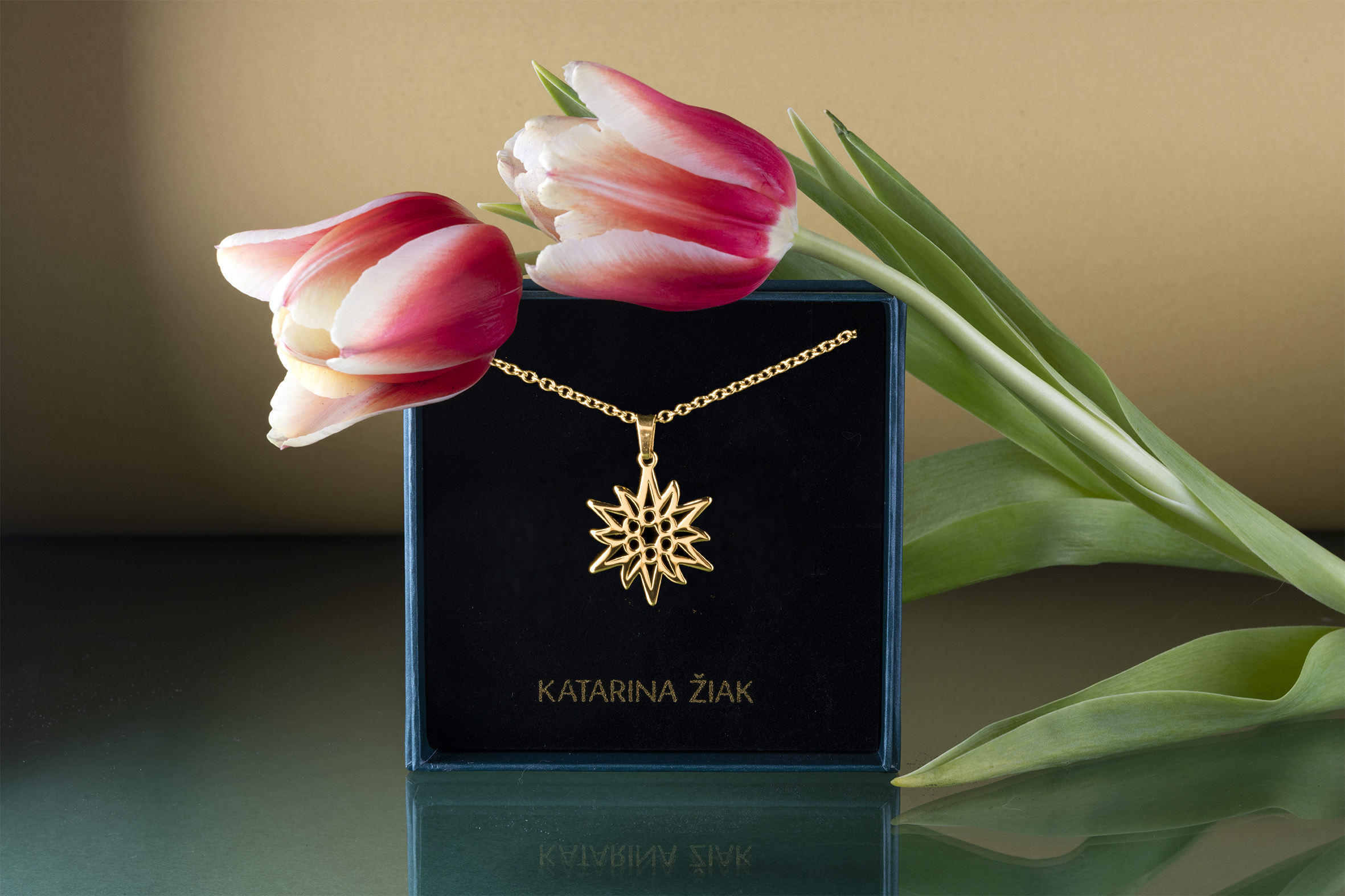 Prívesok hory - plesnivec