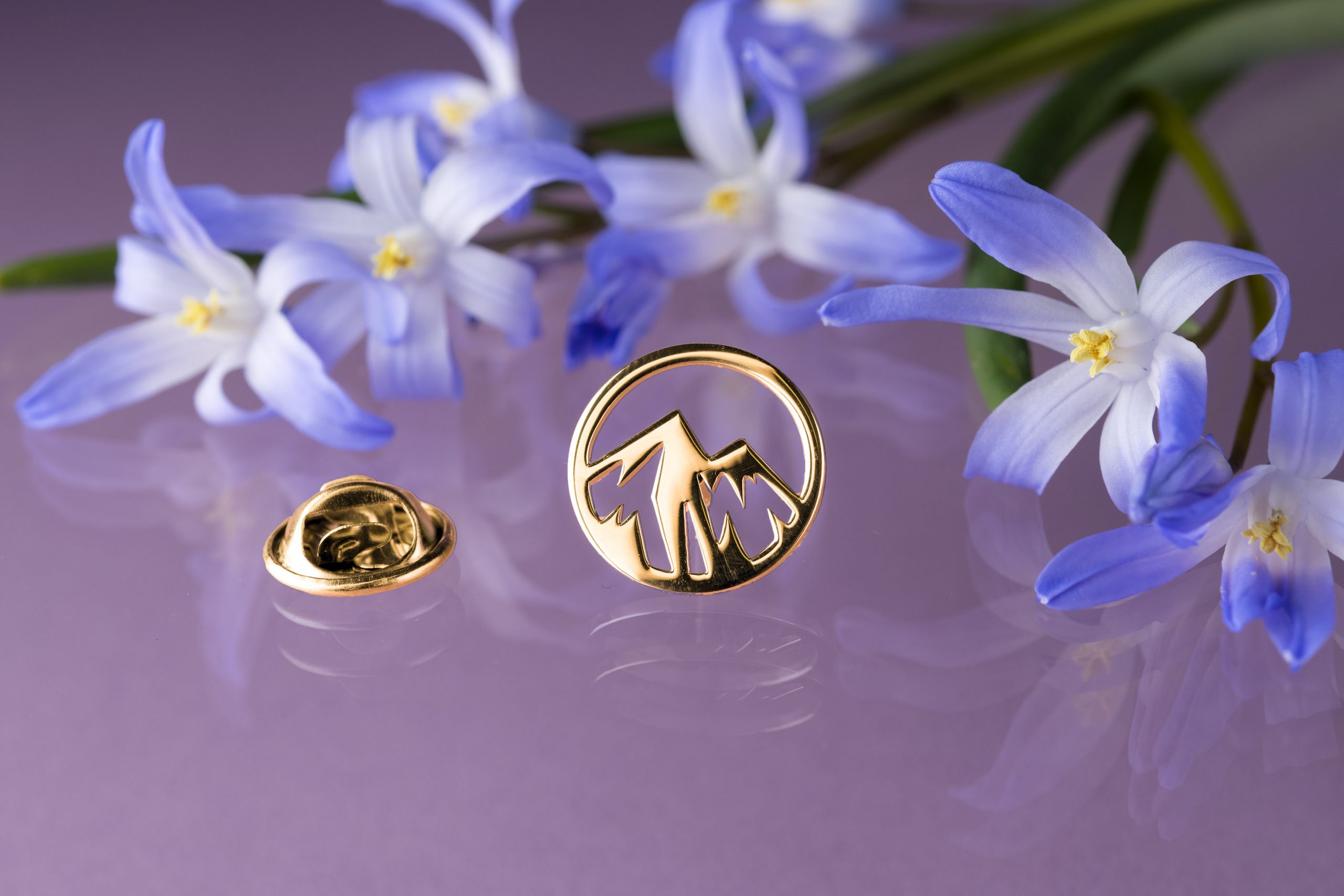 Odznak - hory kruh 1