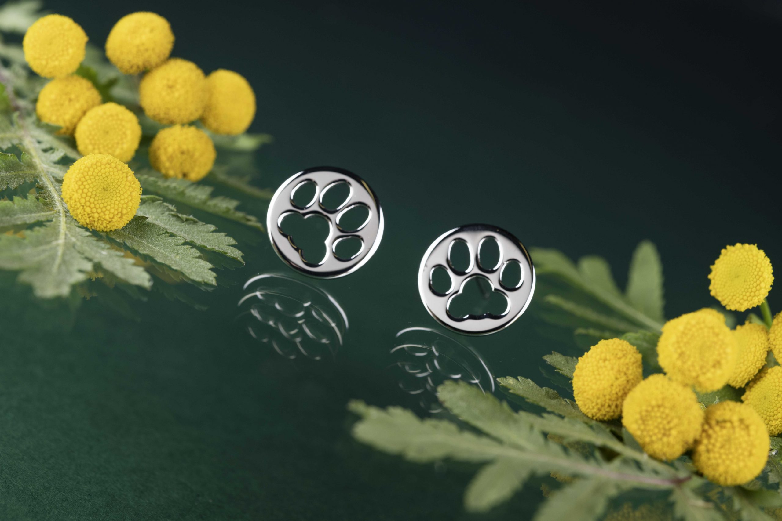 Napichovacie náušnice Labka mačka Izabela