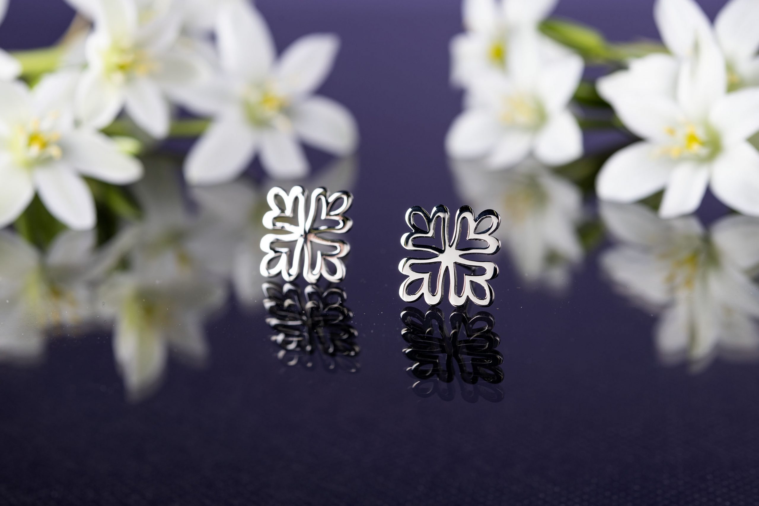 Napichovacie náušnice Trakovice 3