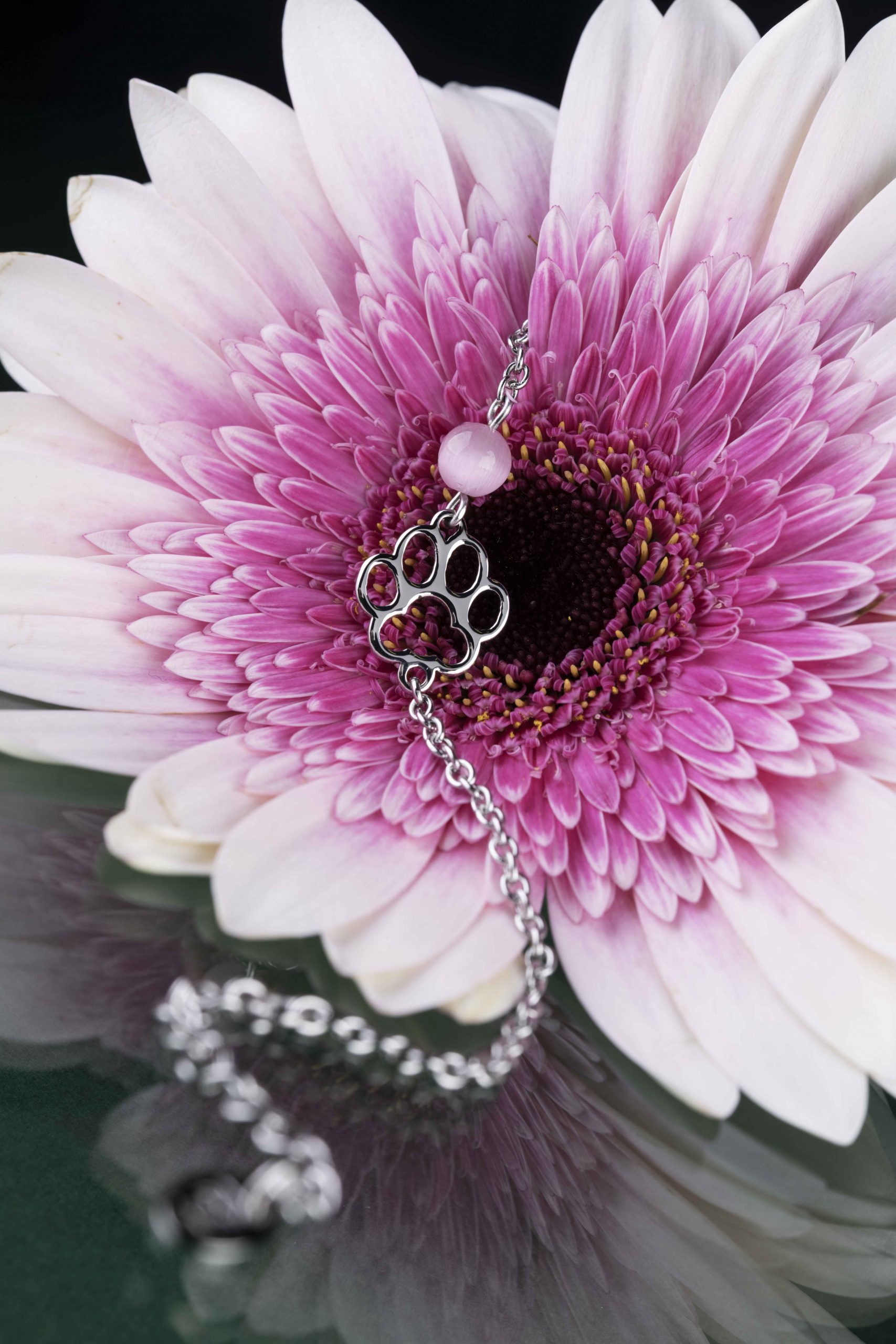 Náramok Labka mačka IZI 2 – retiazka + mačacie oko