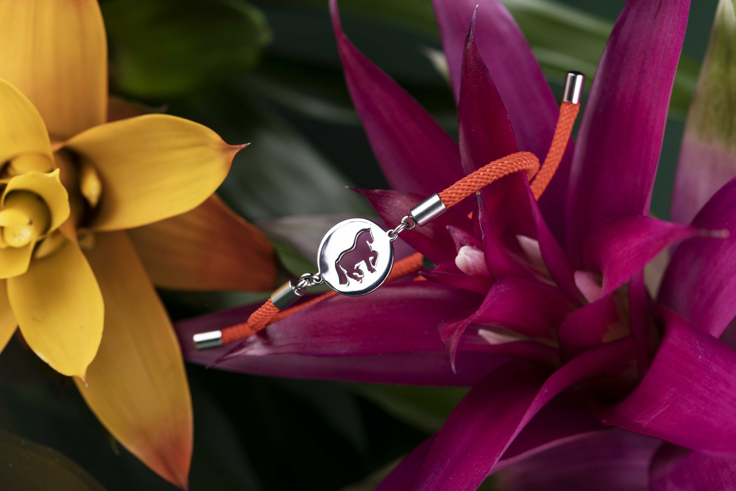 Náramok -  Piaf koník – šnúrka červená / čierna