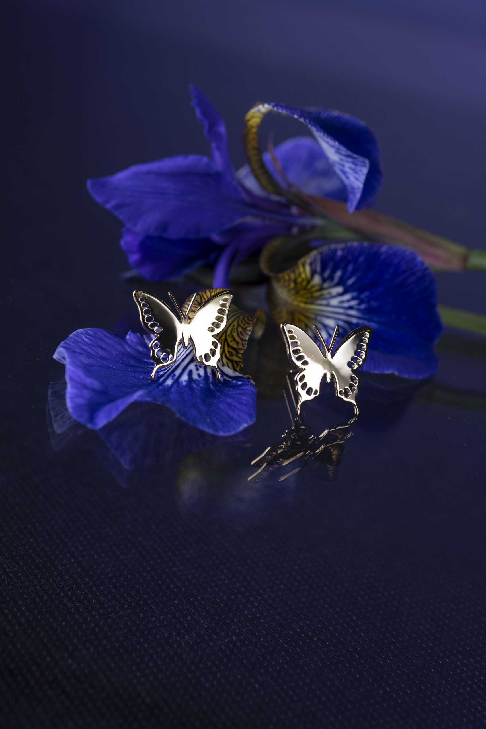 Napichovacie náušnice motýlik - Vidlochvost 1