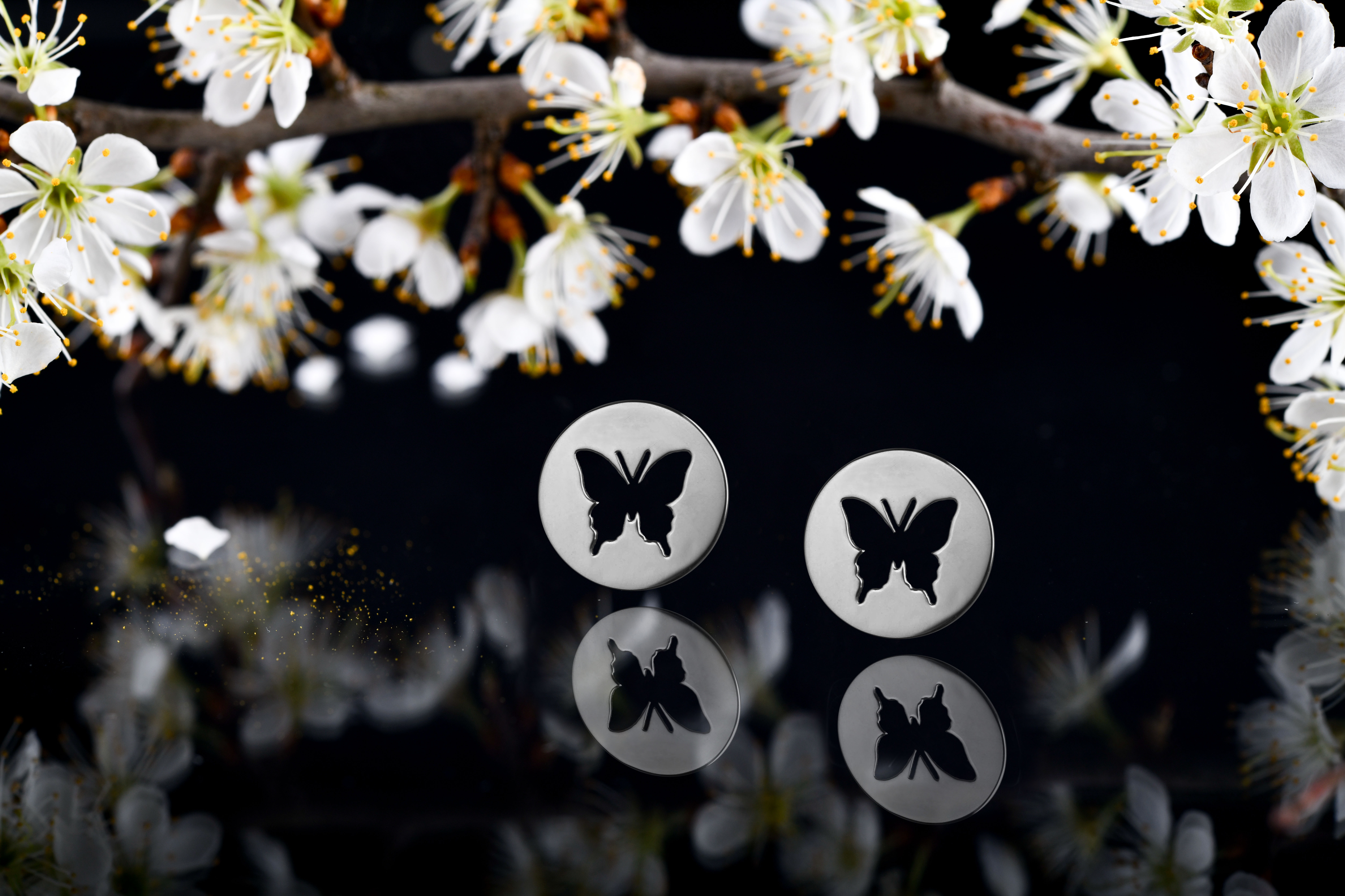 Napichovacie náušnice motýlik - Vidlochvost 2