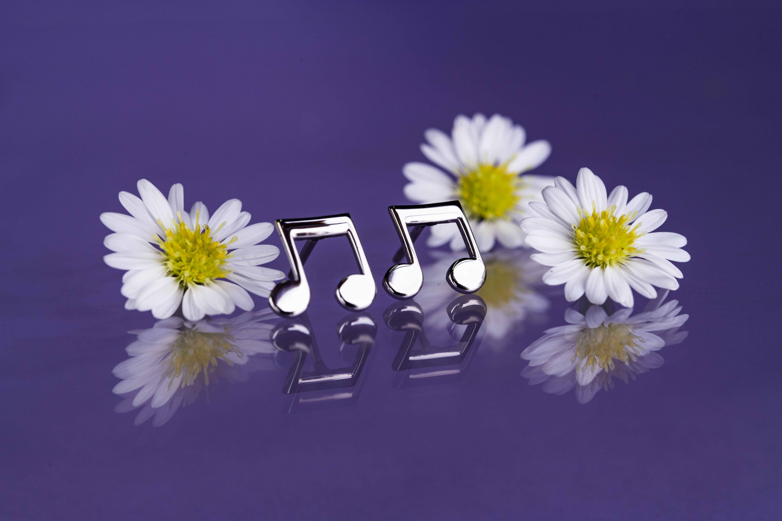 Napichovacie náušnice nota 2