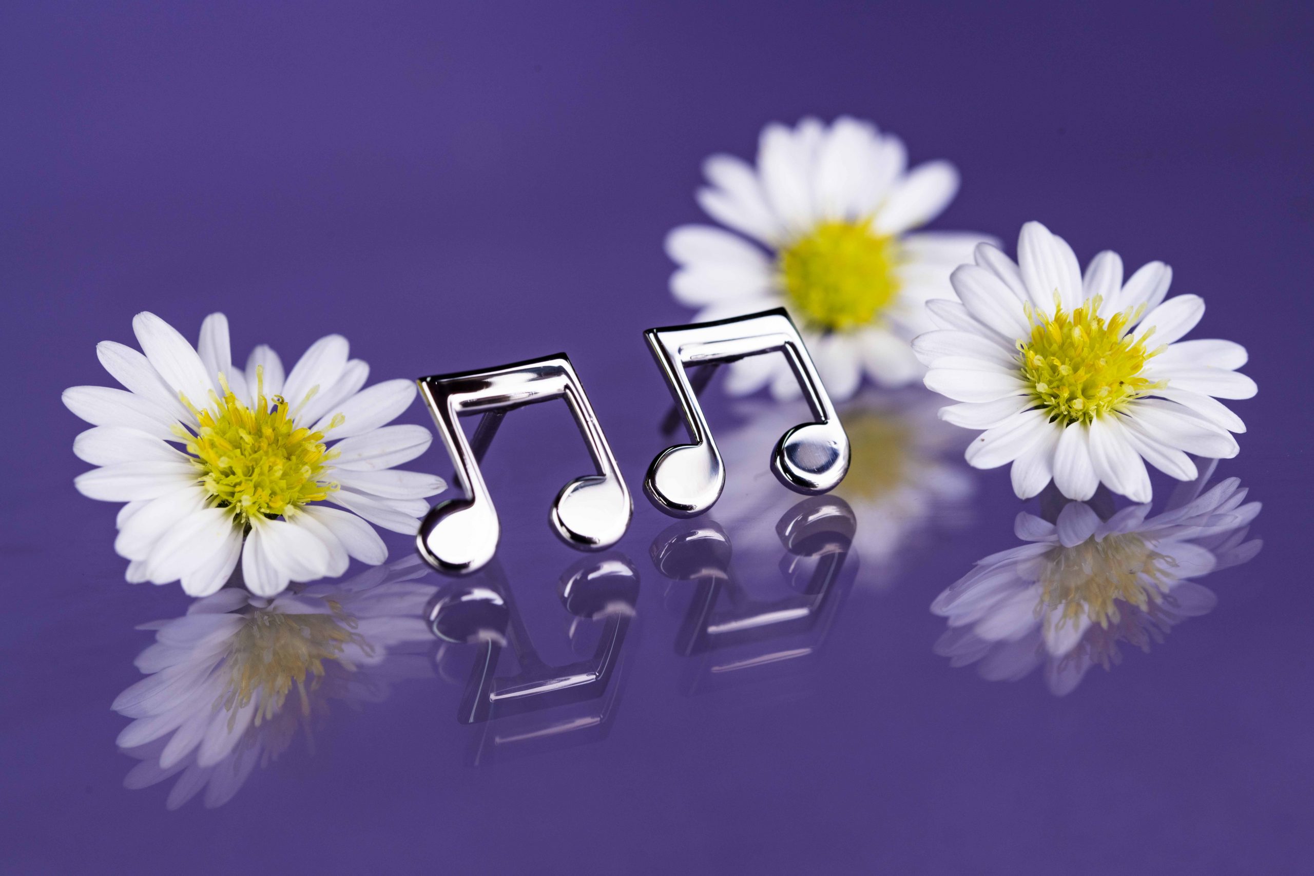 Napichovacie náušnice nota 2