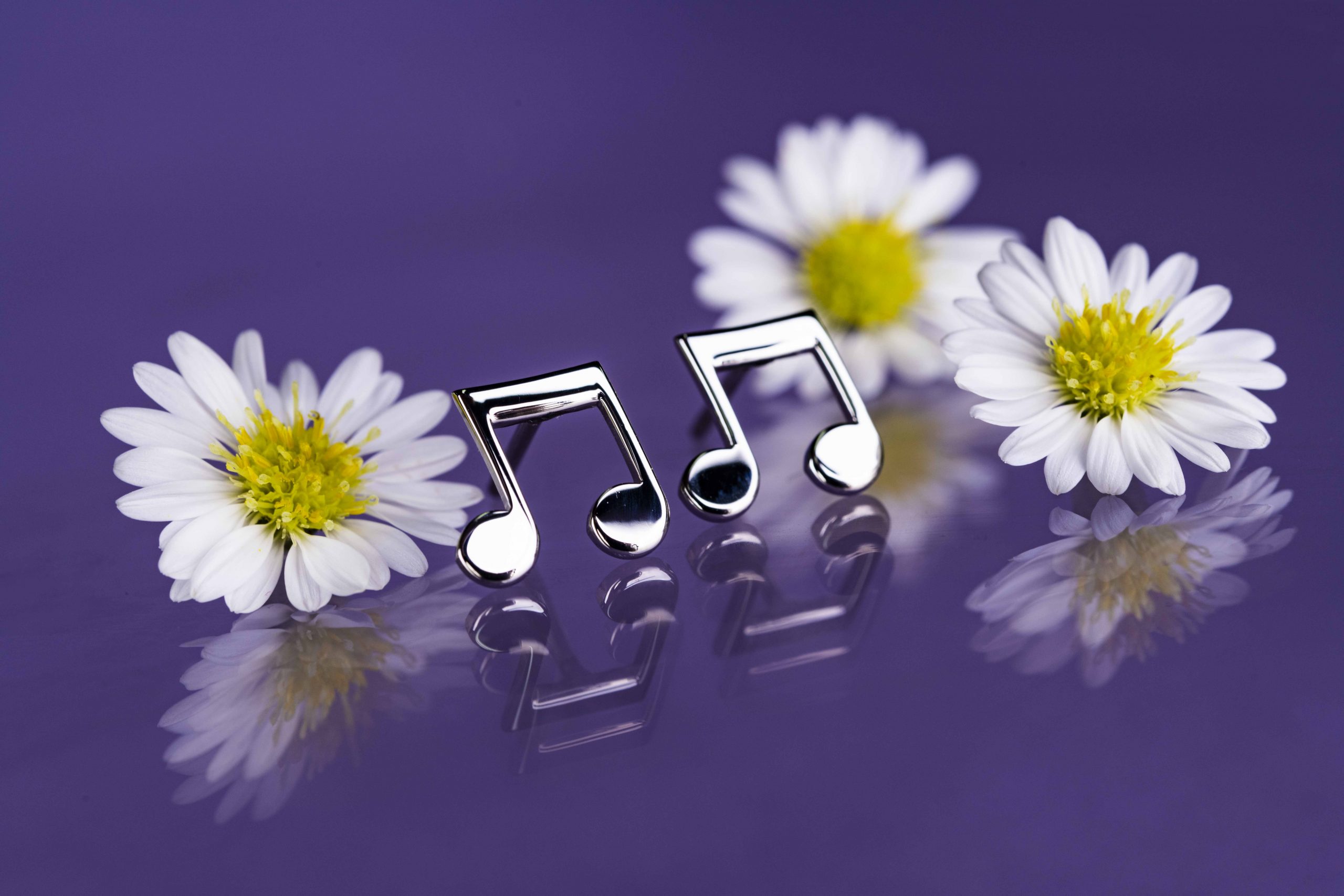 Napichovacie náušnice nota 2