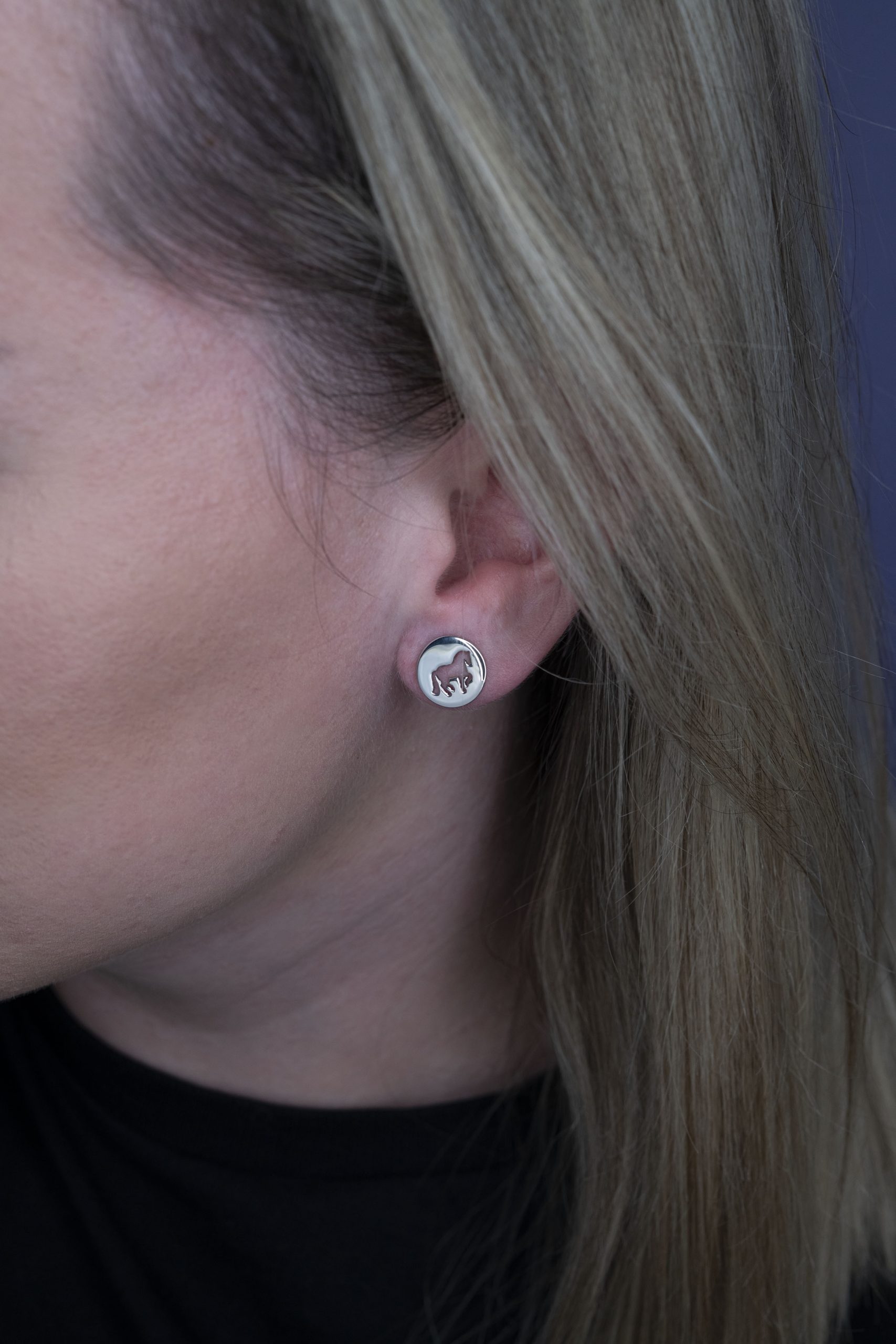 Napichovacie náušnice piaf - malý koník - kruh