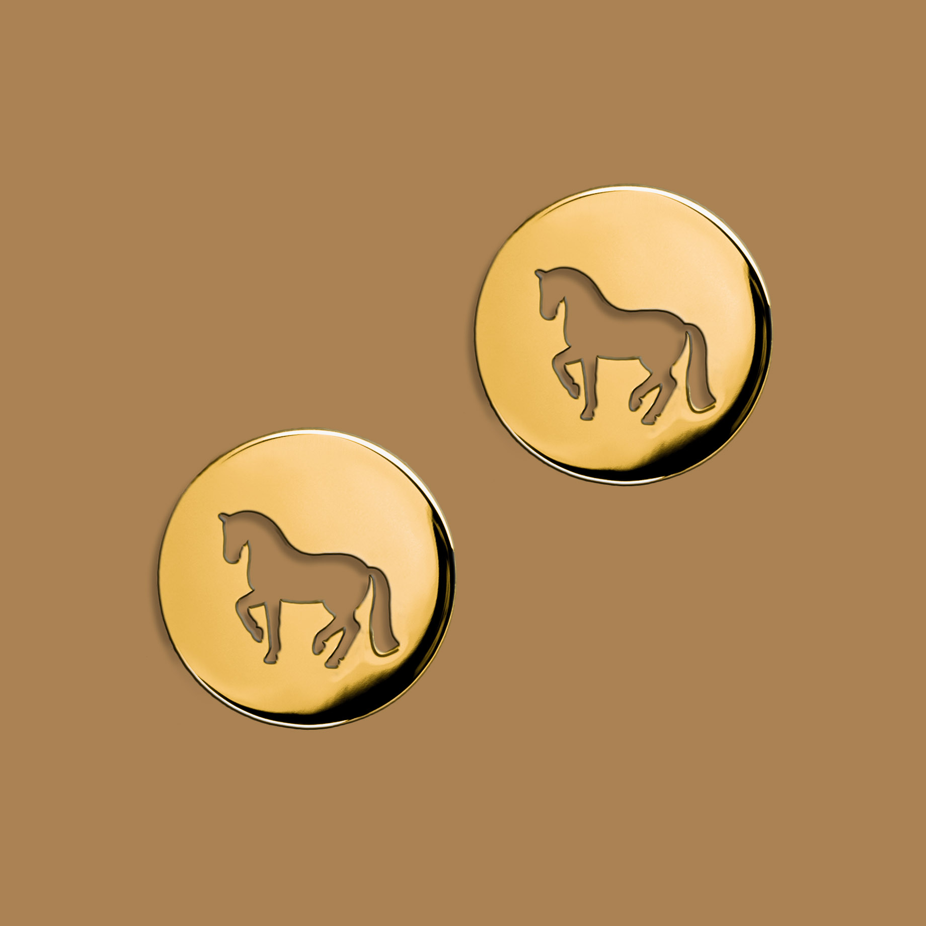 Napichovacie náušnice piaf - malý koník - kruh